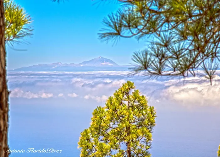 Florymar A 12 Minutos Del Aeropuerto بيت للعطل